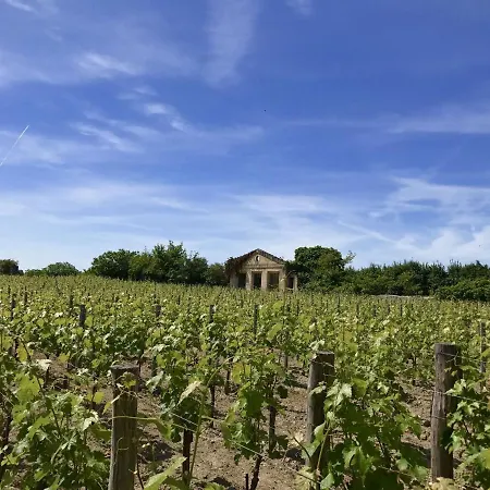 G Te Near Emilion * Saint-Martin-de-Gurcon
